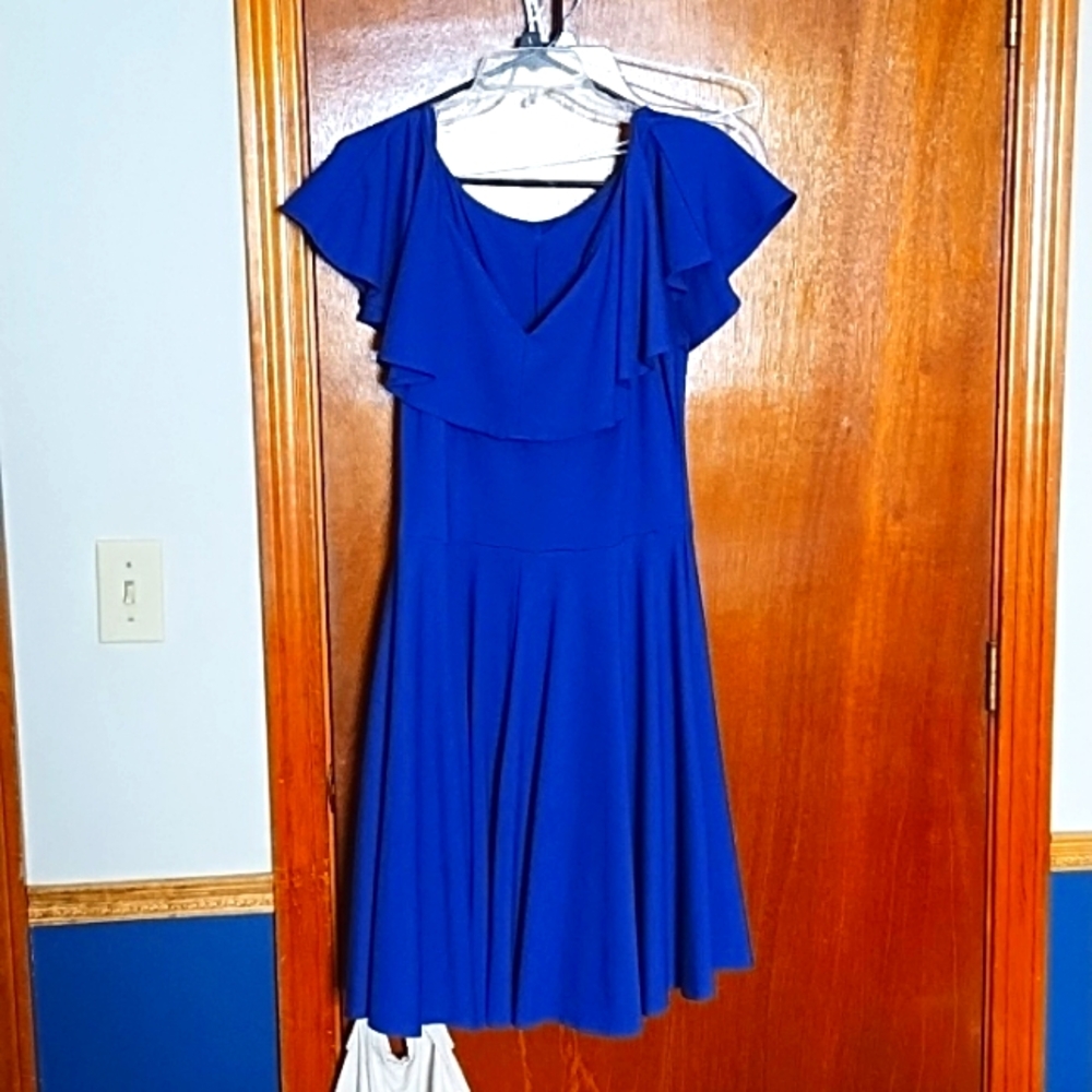 Unique Vintage Blue Swing Dress